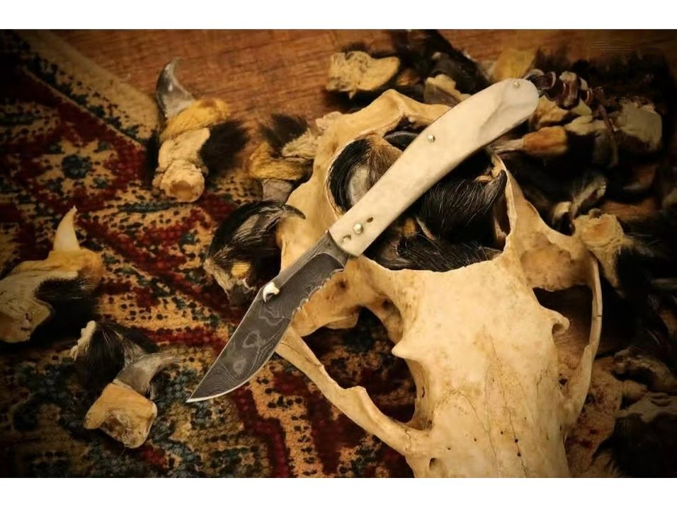 折り畳みナイフ（复制）